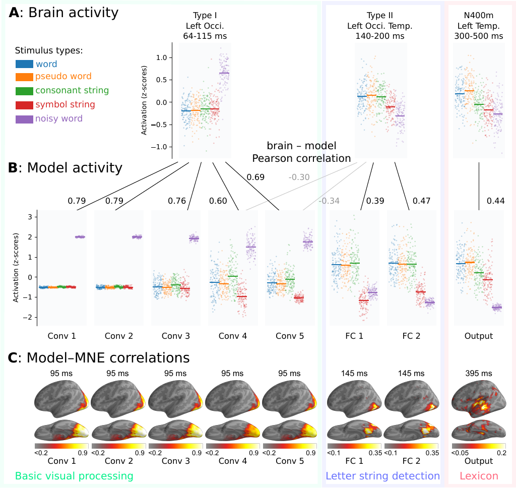  Figure 4: Grand-average comparison between brain and model. Based on the response patterns to each stimulus type, three processing stages were identified that correspond to different time windows in the MEG activity and different layer types in the model. A: Grand-average response patterns obtained from evoked MEG activity, quantified using three ECD groups. For each stimulus, the ECD time courses were integrated over the indicated time interval. B: Response patterns obtained from the model. For each layer, the mean ReLu activation in response to each stimulus. Matching response patterns between ECDs and model layers are shown using black lines, accompanied by the corresponding Pearson correlations. Two additional correlation values are shown in gray, for which the response patterns do not match, but which are discussed in the main text. C: Pearson correlation between the model and the MNE-dSPM source estimate. Grand-average source estimates were obtained in response to each stimulus. The correlation map was obtained by correlating the activity at each source point with that for each layer of the model. The correlation map is shown at the time of peak correlation (using the same analysis window as in A). Only positive correlations are shown. 